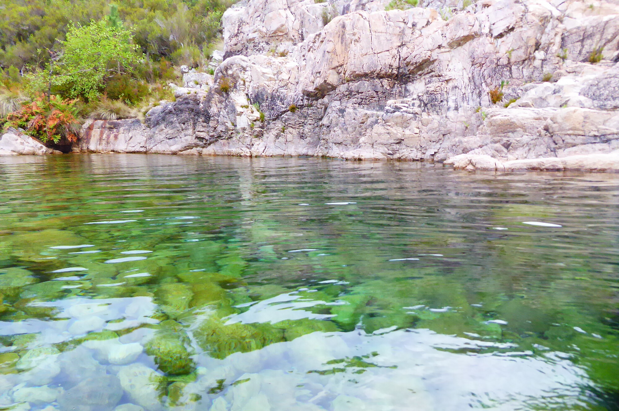 Bain glacé